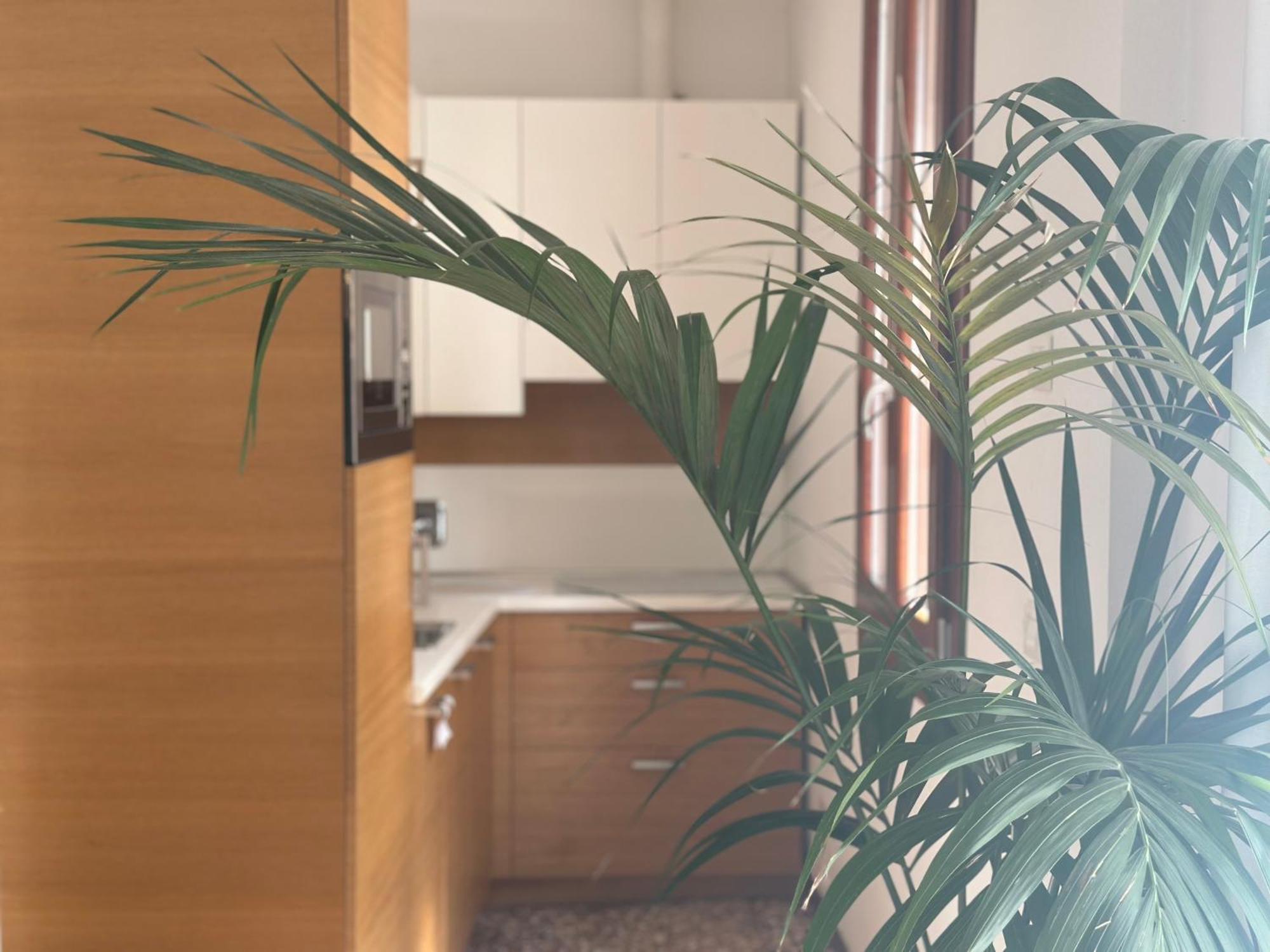 Ca' D'Oro Suite البندقية المظهر الخارجي الصورة