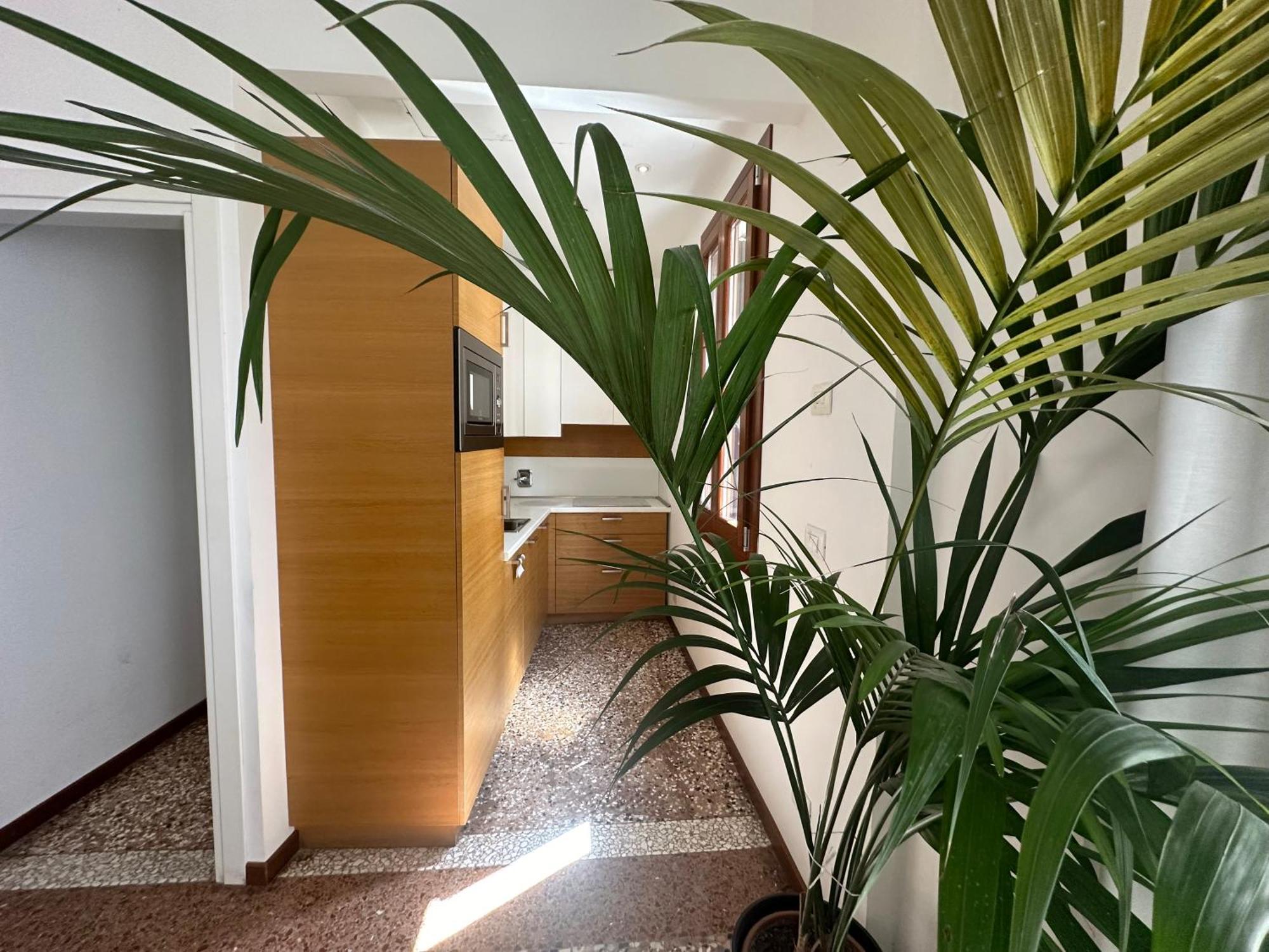 Ca' D'Oro Suite البندقية المظهر الخارجي الصورة